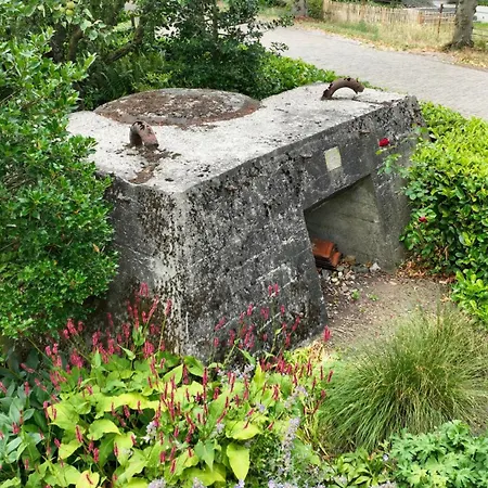 Bij Corine, Bed En Zorg Altforst