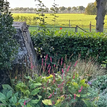Bed & Breakfast Bij Corine, Bed En Zorg 3*