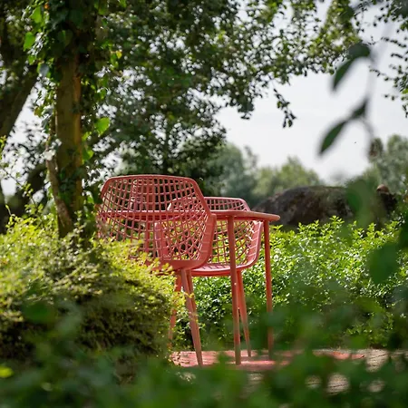 Bed & Breakfast Bij Corine, Bed En Zorg