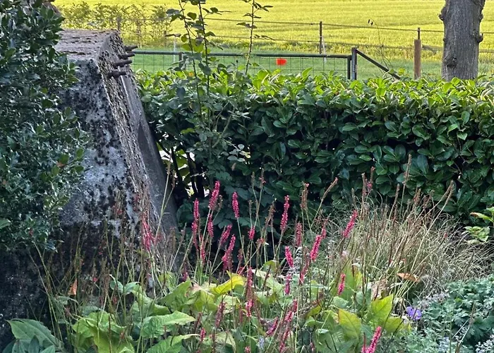 Bed & Breakfast Bij Corine, Bed En Zorg 3*